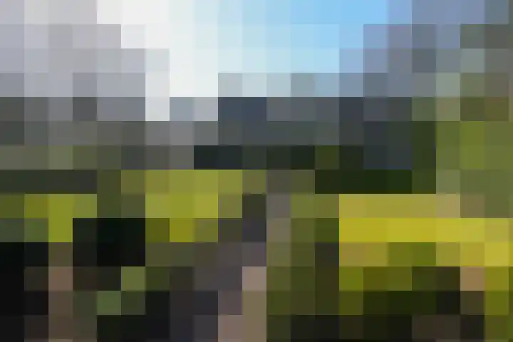Koning Davidlaan 30 Heilig Landstichting thumbnail 13