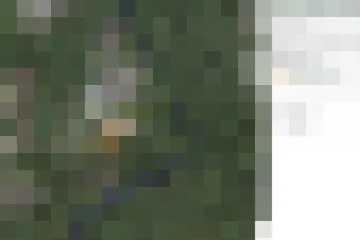 Koning Davidlaan 30 Heilig Landstichting thumbnail 15