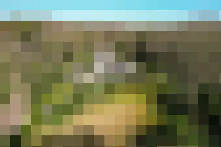 Koning Davidlaan 30 Heilig Landstichting thumbnail 16