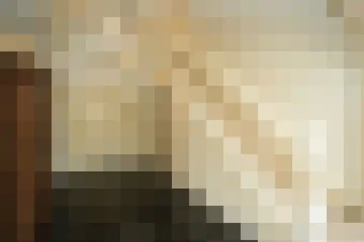 Koning Davidlaan 30 Heilig Landstichting thumbnail 5
