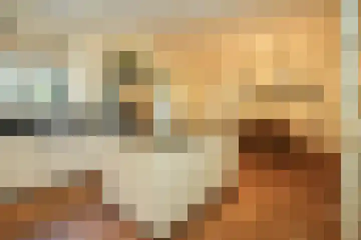 Koning Davidlaan 30 Heilig Landstichting thumbnail 7