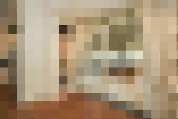 Koning Davidlaan 30 Heilig Landstichting thumbnail 8