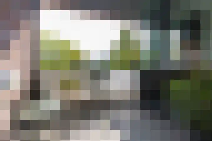 Koning Davidstraat 57 Zaandam thumbnail 4