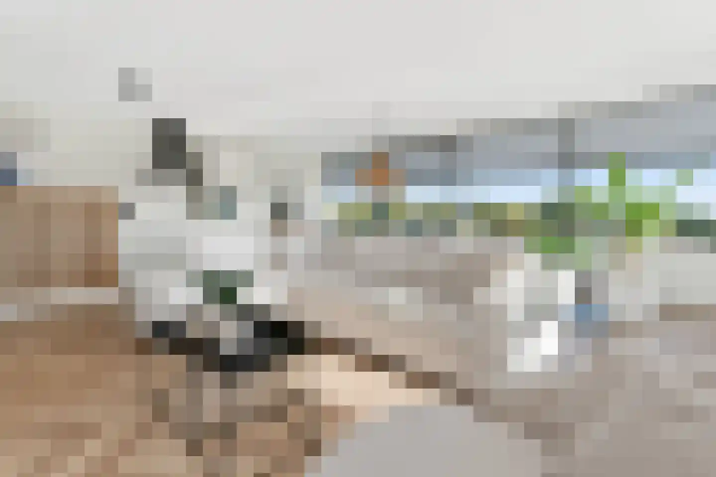 Koning Davidstraat 77 Zaandam thumbnail 16
