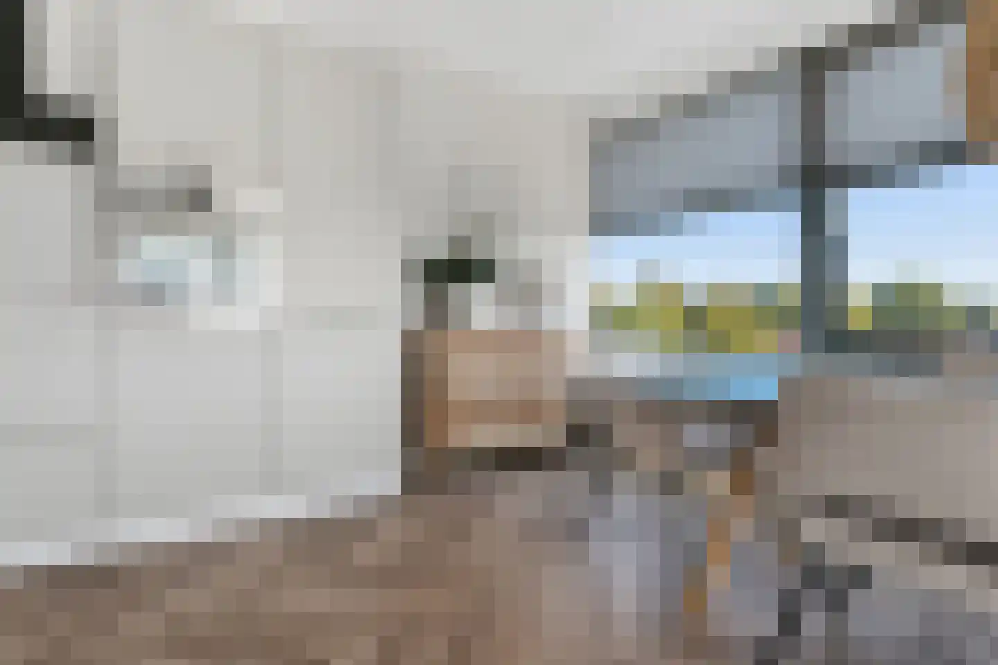 Koning Davidstraat 77 Zaandam thumbnail 5