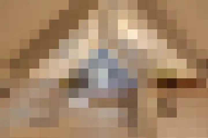 Koning Gustaaf Adolfstraat 2 Lage Zwaluwe thumbnail 26