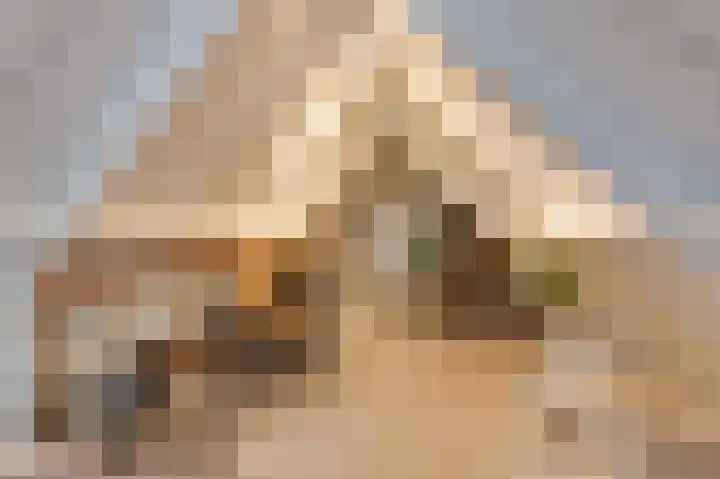 Koning Gustaaf Adolfstraat 2 Lage Zwaluwe thumbnail 27