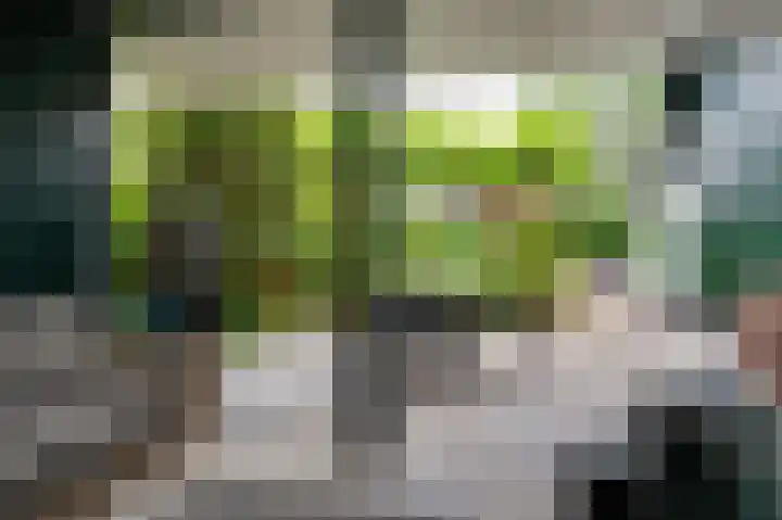 Koning Gustaaf Adolfstraat 2 Lage Zwaluwe thumbnail 30