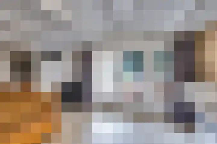 Koning Gustaaf Adolfstraat 2 Lage Zwaluwe thumbnail 34