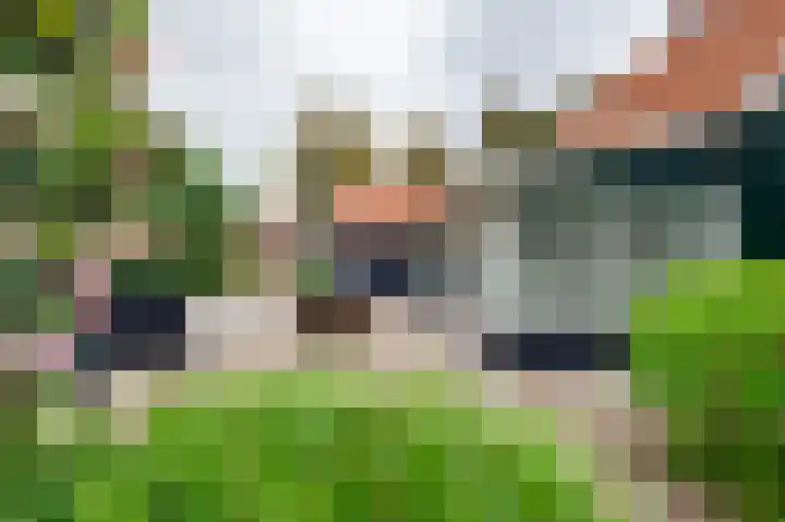 Koning Gustaaf Adolfstraat 2 Lage Zwaluwe thumbnail 35
