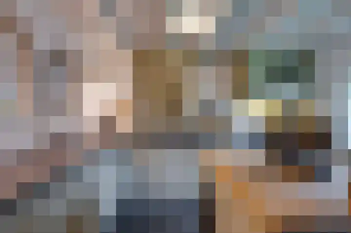 Koning Gustaaf Adolfstraat 2 Lage Zwaluwe thumbnail 4