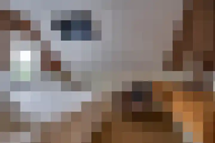 Koning Gustaaf Adolfstraat 2 Lage Zwaluwe thumbnail 40