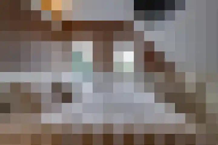 Koning Gustaaf Adolfstraat 2 Lage Zwaluwe thumbnail 41