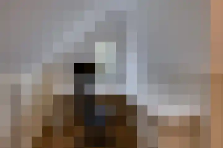 Koning Gustaaf Adolfstraat 2 Lage Zwaluwe thumbnail 44