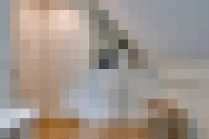 Koning Gustaaf Adolfstraat 2 Lage Zwaluwe thumbnail 45
