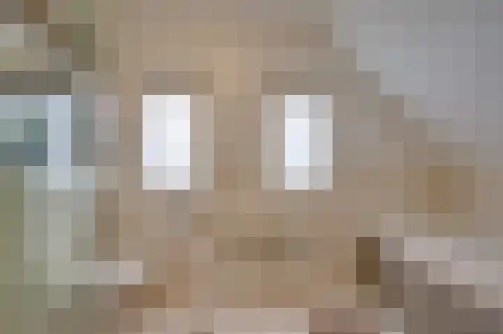 Koning Gustaaf Adolfstraat 2 Lage Zwaluwe thumbnail 47