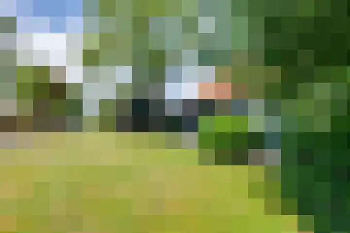 Koning Gustaaf Adolfstraat 2 Lage Zwaluwe thumbnail 51