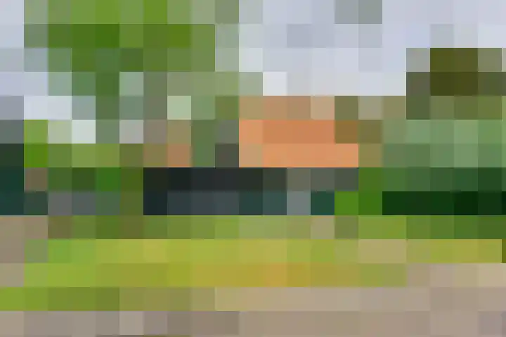 Koning Gustaaf Adolfstraat 2 Lage Zwaluwe thumbnail 52