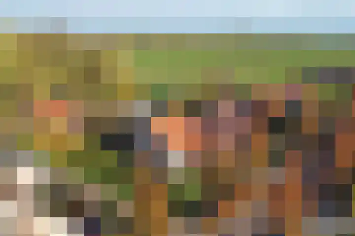 Koning Haakonstraat 2 Moerdijk thumbnail 4