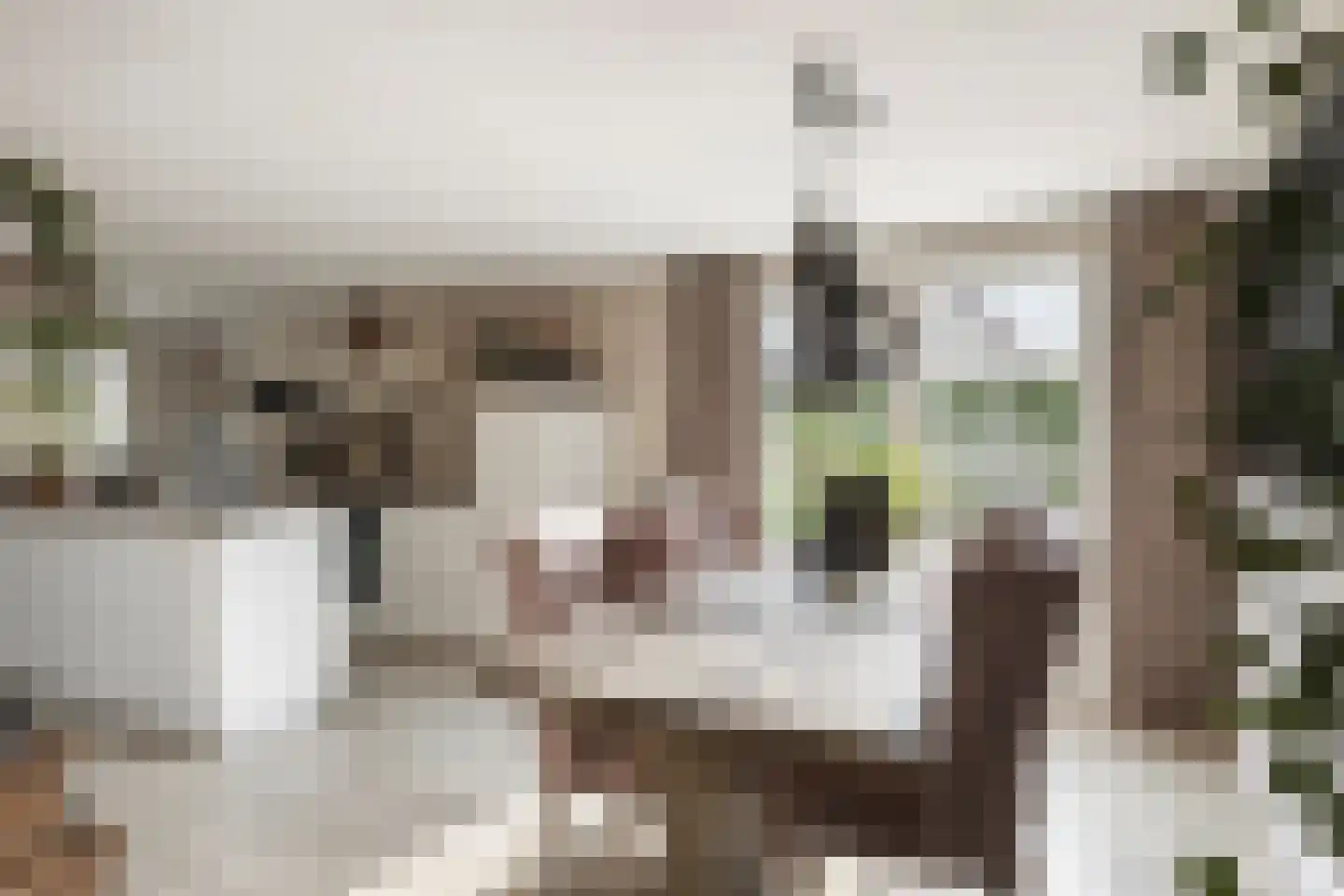 Koning Haakonstraat 4 Zuid-Beijerland thumbnail 11
