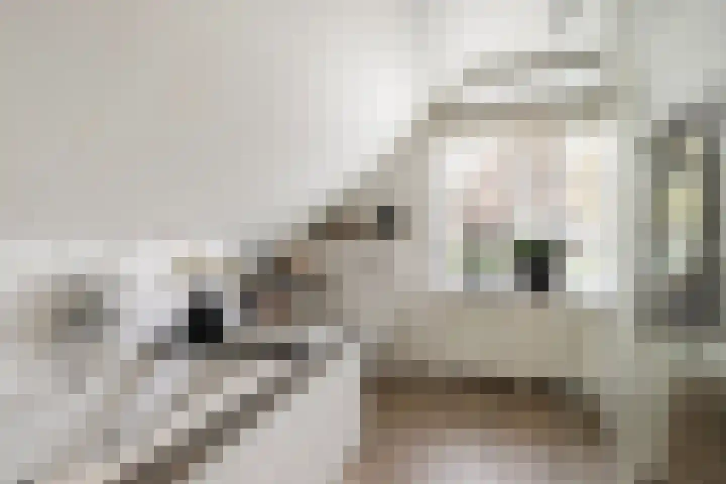 Koning Haakonstraat 4 Zuid-Beijerland thumbnail 23