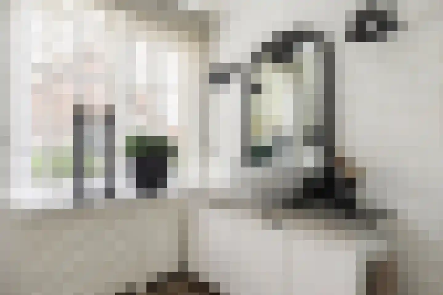 Koning Haakonstraat 4 Zuid-Beijerland thumbnail 24
