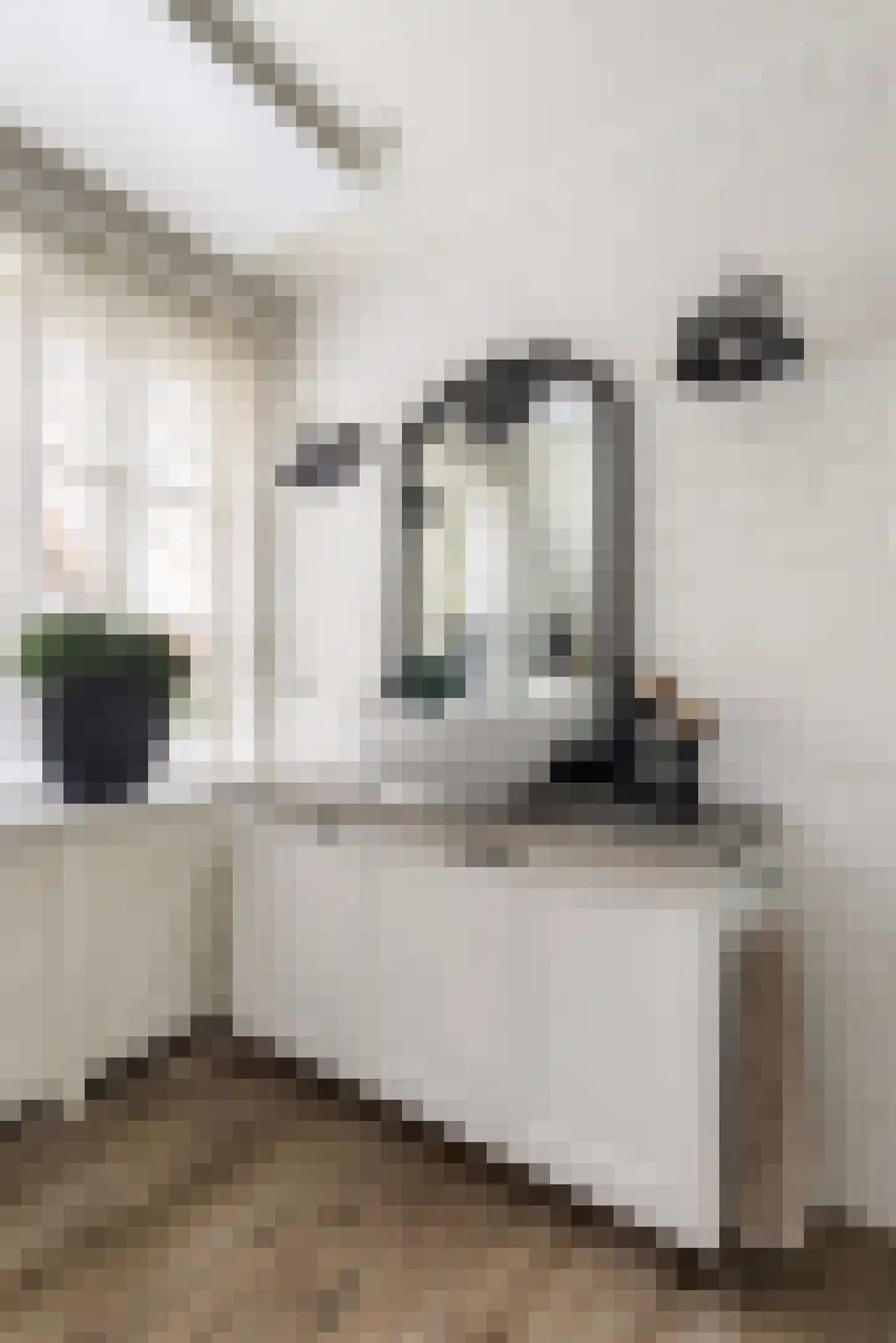 Koning Haakonstraat 4 Zuid-Beijerland thumbnail 26