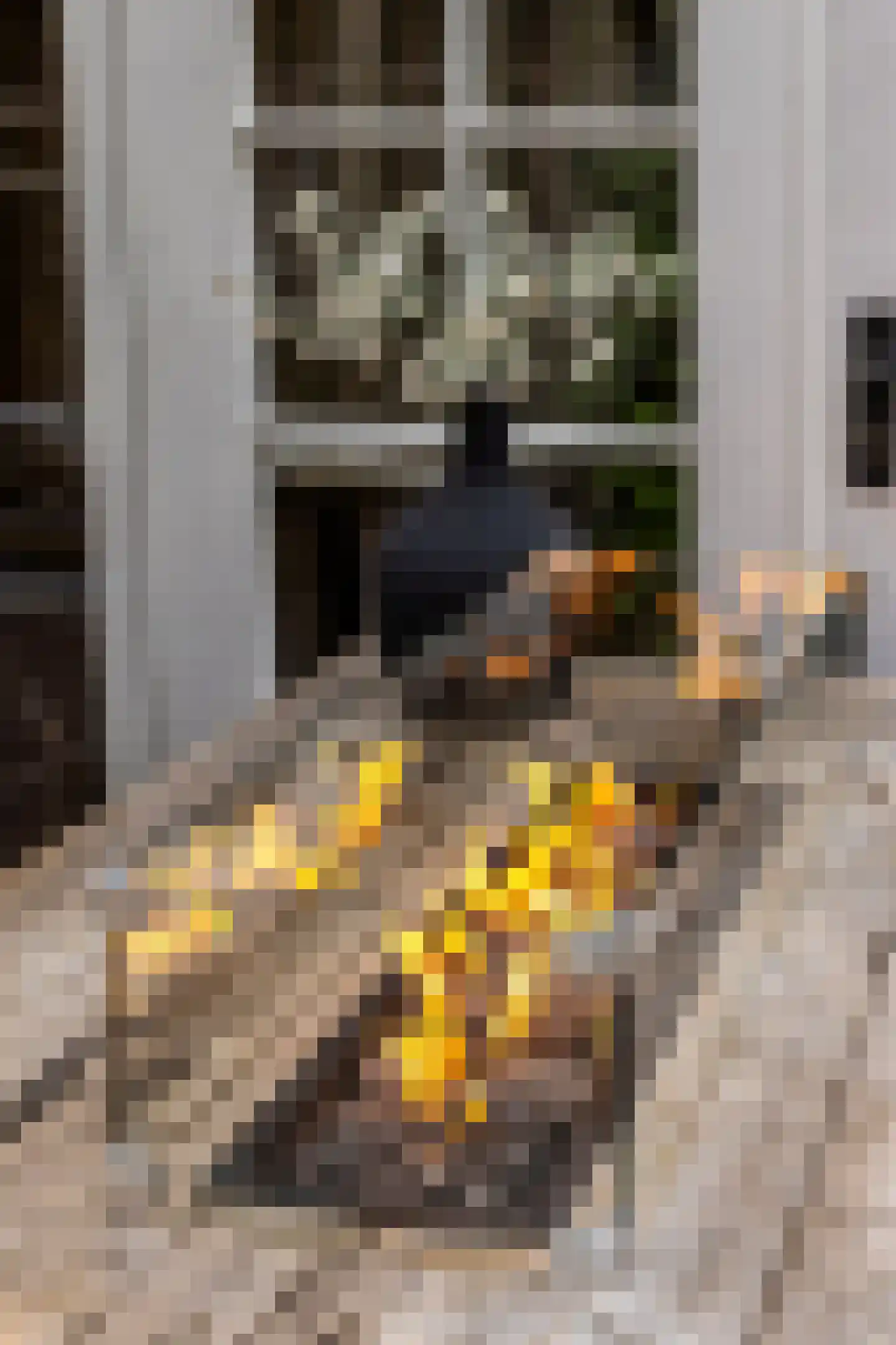Koning Haakonstraat 4 Zuid-Beijerland thumbnail 31