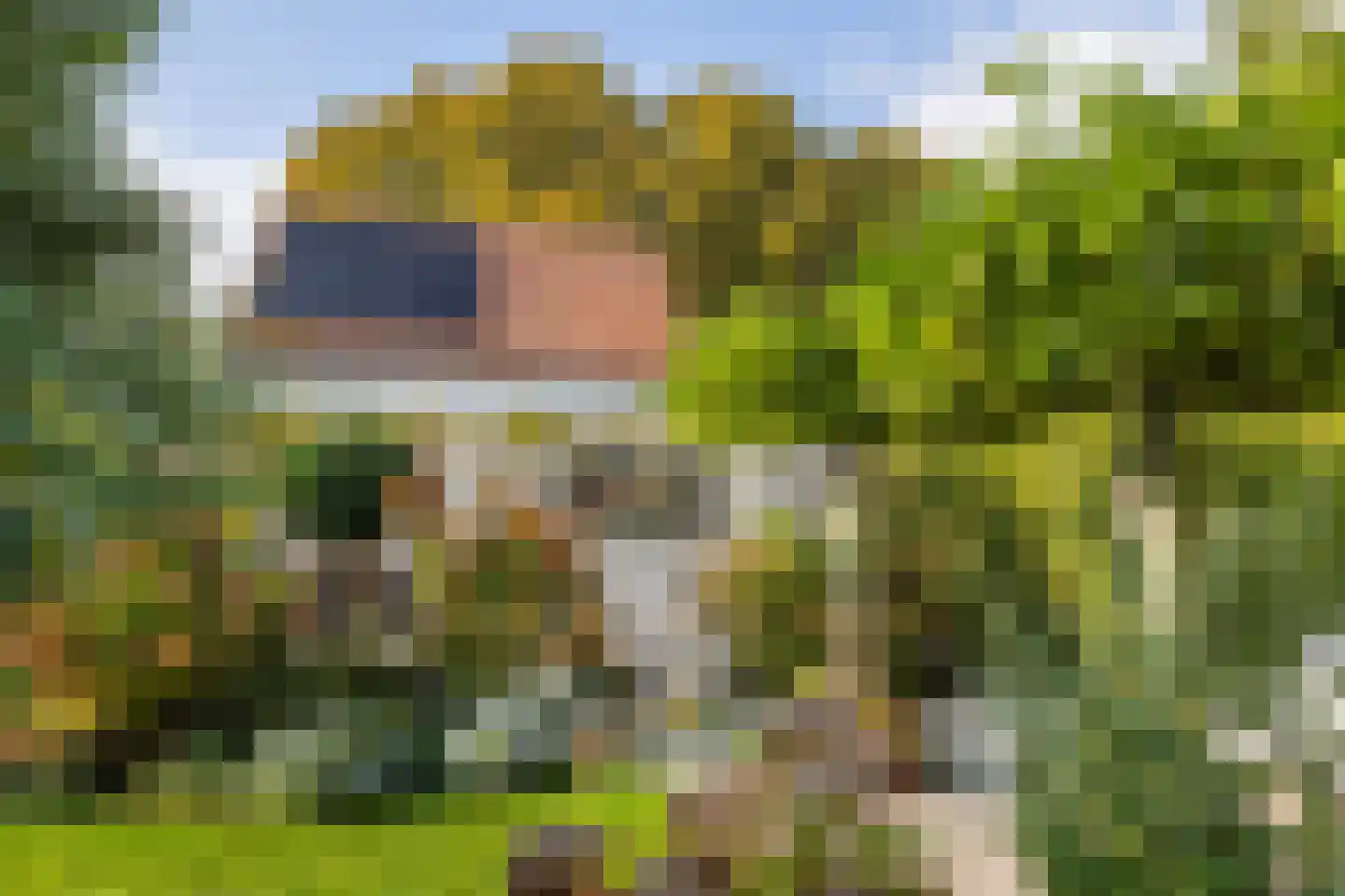 Koning Haakonstraat 4 Zuid-Beijerland thumbnail 33