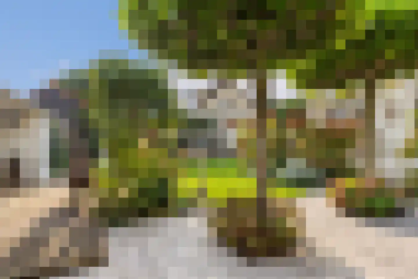 Koning Haakonstraat 4 Zuid-Beijerland thumbnail 38