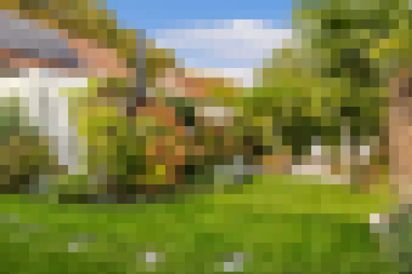 Koning Haakonstraat 4 Zuid-Beijerland thumbnail 41