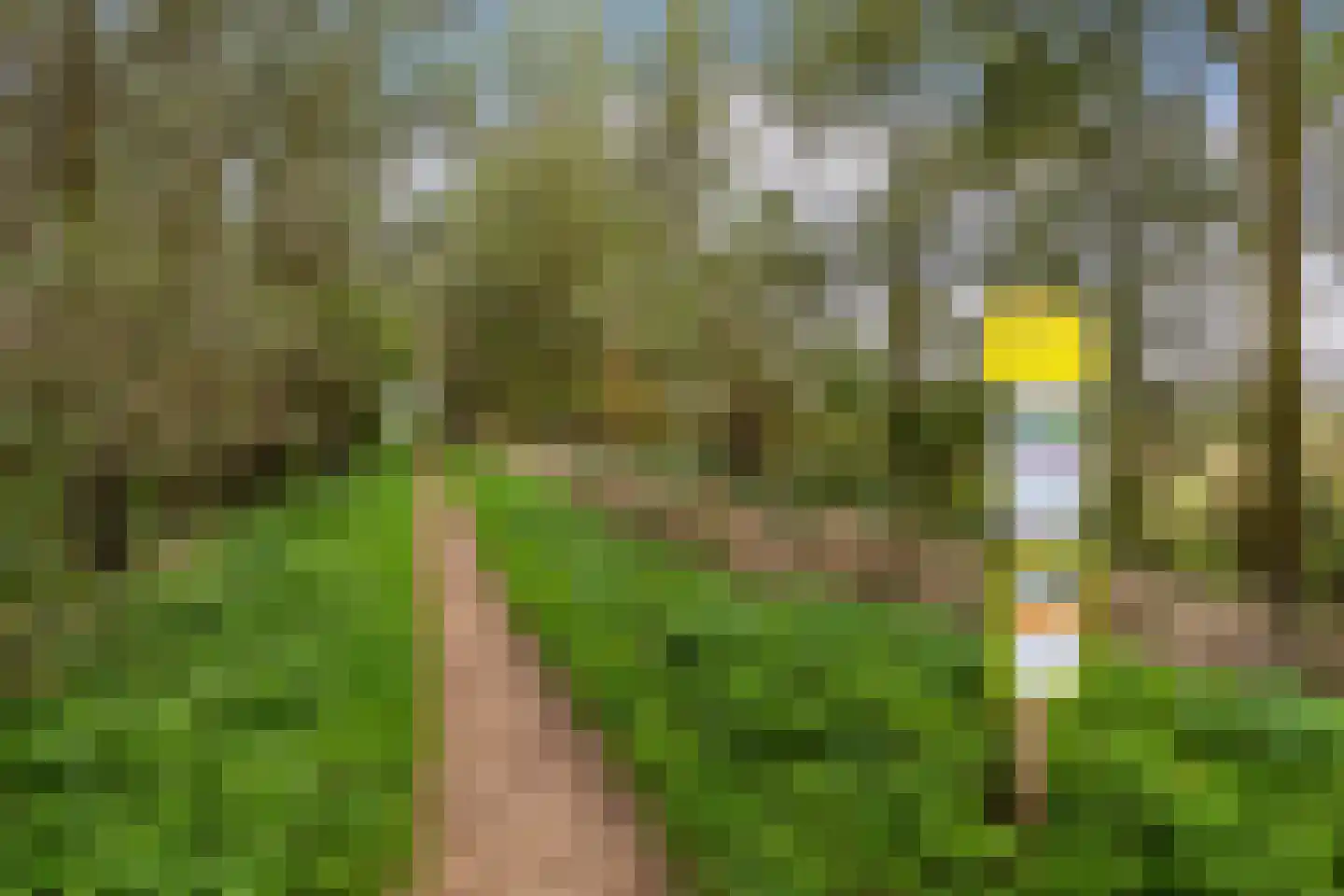 Koning Haakonstraat 4 Zuid-Beijerland thumbnail 42