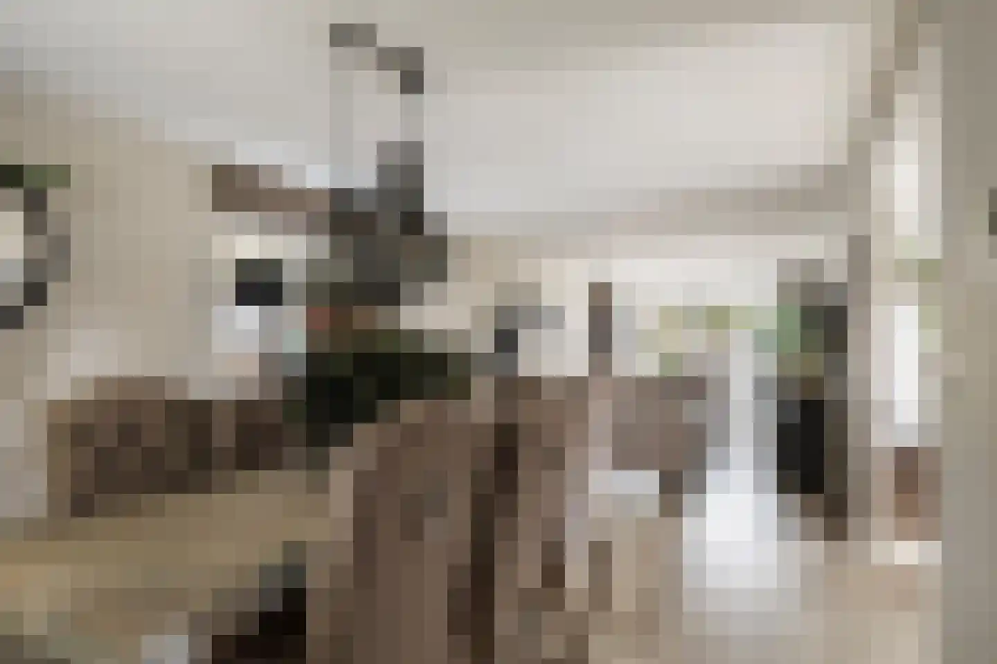 Koning Haakonstraat 4 Zuid-Beijerland thumbnail 8