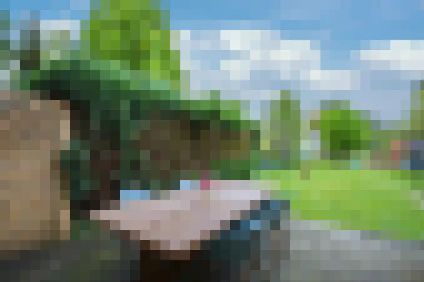 Koning Hendrikstraat 4 Vaals thumbnail 18