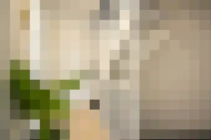 Koning Hollewijnstraat 21 Almere thumbnail 16