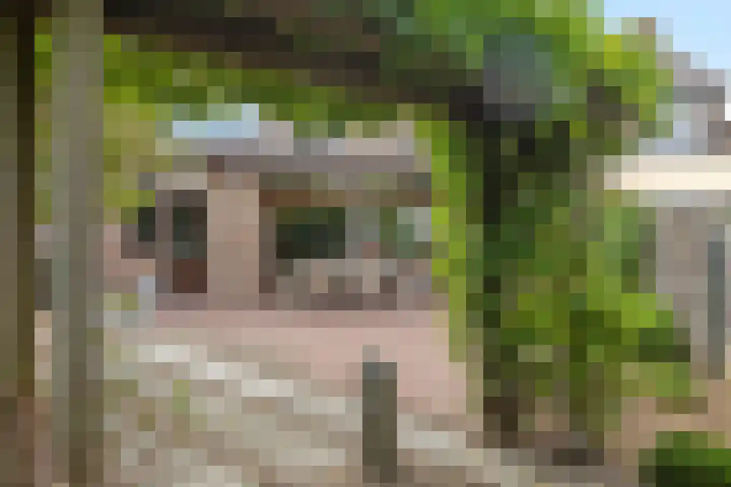 Koning Karelstraat 14 Meerssen thumbnail 31