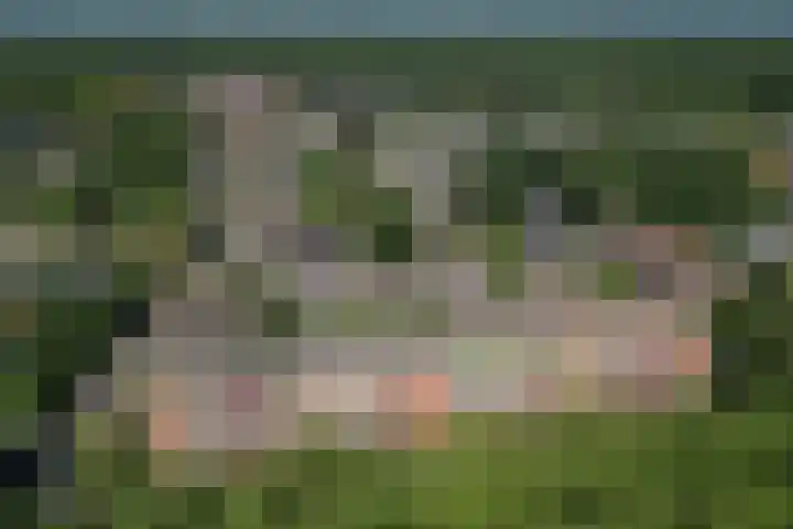 Koning Lodewijklaan 104 Apeldoorn thumbnail 10