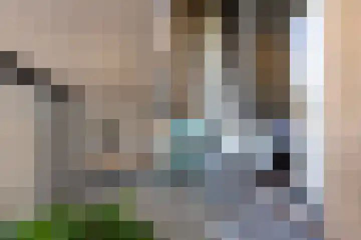 Koning Lodewijklaan 104 Apeldoorn thumbnail 17