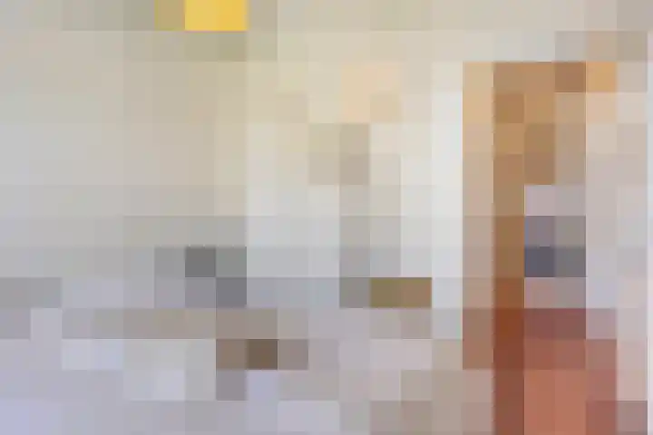 Koning Lodewijklaan 104 Apeldoorn thumbnail 30