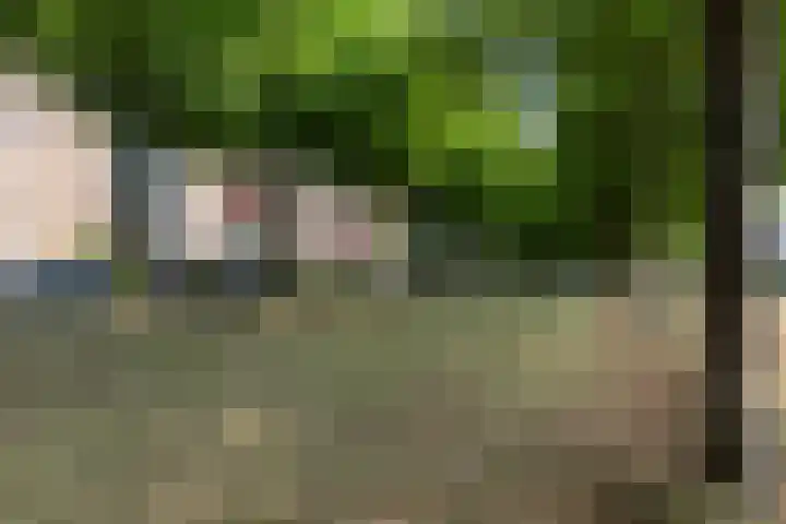 Koning Lodewijklaan 104 Apeldoorn thumbnail 47