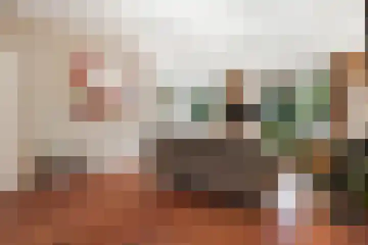 Koning Lodewijklaan 104 Apeldoorn thumbnail 7