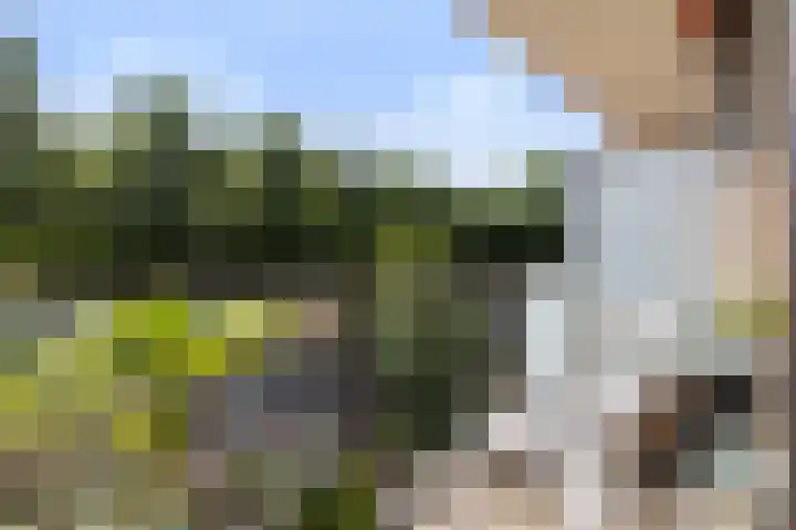 Koning Lodewijklaan 104 Apeldoorn thumbnail 8