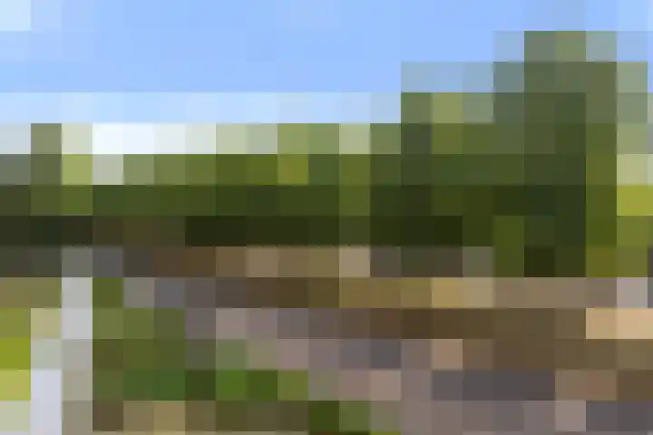 Koning Lodewijklaan 104 Apeldoorn thumbnail 9