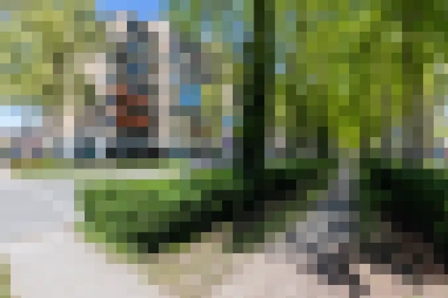 Koning Lodewijklaan 176 Apeldoorn thumbnail 31