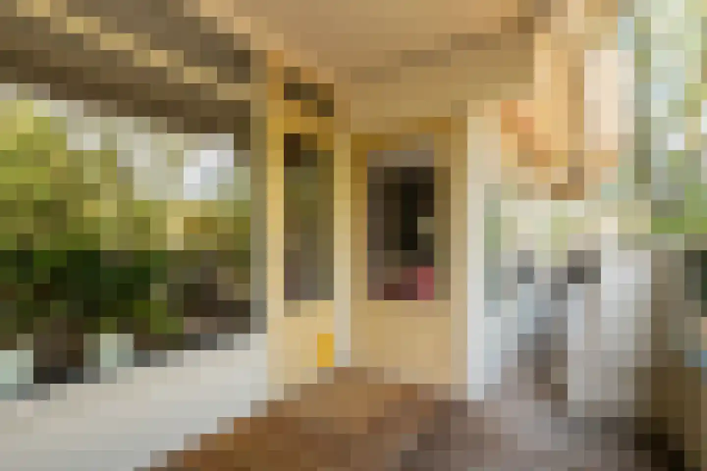 Koning Lodewijklaan 192 Apeldoorn thumbnail 17