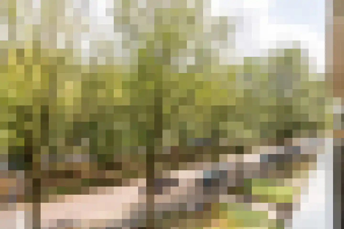 Koning Lodewijklaan 192 Apeldoorn thumbnail 27