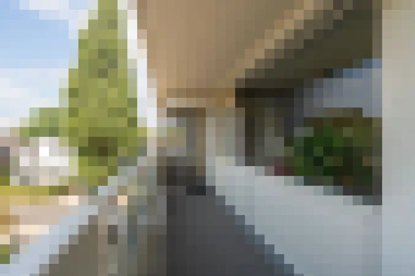 Koning Lodewijklaan 192 Apeldoorn thumbnail 5