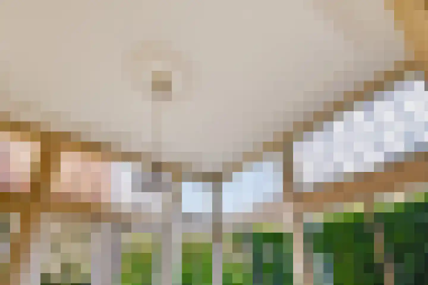 Koning Lodewijklaan 20 Apeldoorn thumbnail 14