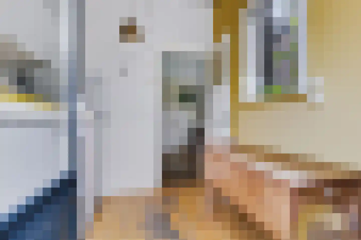 Koning Lodewijklaan 20 Apeldoorn thumbnail 17