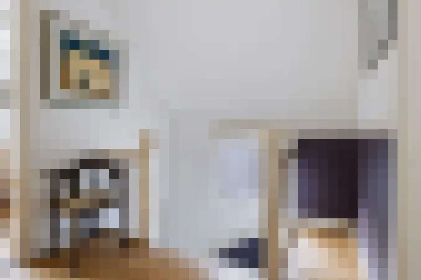 Koning Lodewijklaan 20 Apeldoorn thumbnail 19
